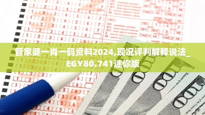 管家婆一肖一码资料2024,现况评判解释说法_EGY80.741迷你版