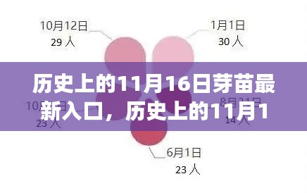 历史上的11月16日，芽苗最新入口的多元解读与个人立场观察