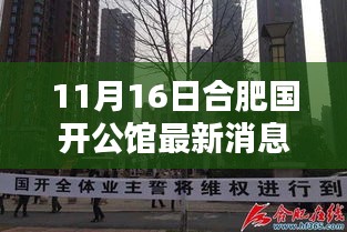 合肥国开公馆最新动态揭秘，11月16日最新消息速递