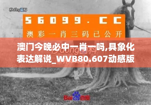 澳门今晚必中一肖一吗,具象化表达解说_WVB80.607动感版