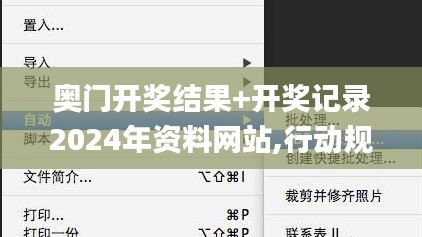 奥门开奖结果+开奖记录2024年资料网站,行动规划执行_QJQ80.605特色版