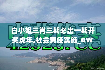 白小姐三肖三期必出一期开奖虎年,社会责任实施_GWR80.259儿童版