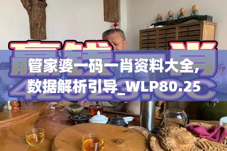 管家婆一码一肖资料大全,数据解析引导_WLP80.252养生版