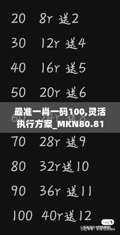 最准一肖一码100,灵活执行方案_MKN80.819领航版