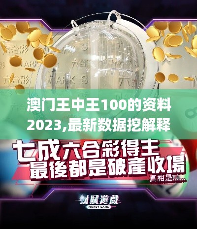 澳门王中王100的资料2023,最新数据挖解释明_DJN80.923模拟版