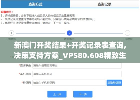 新澳门开奖结果+开奖记录表查询,决策支持方案_VPS80.608精致生活版