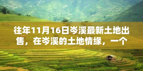 岑溪土地情缘，历年11月16日最新土地出售与温馨回忆