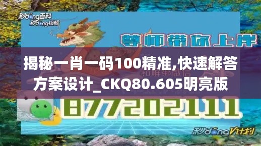 揭秘一肖一码100精准,快速解答方案设计_CKQ80.605明亮版