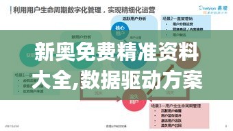 新奥免费精准资料大全,数据驱动方案_IFP80.816多媒体版