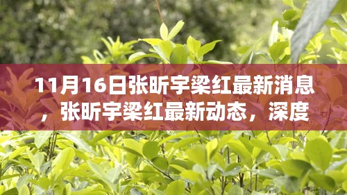 张昕宇梁红最新动态深度解析与全面评估（11月16日最新消息）