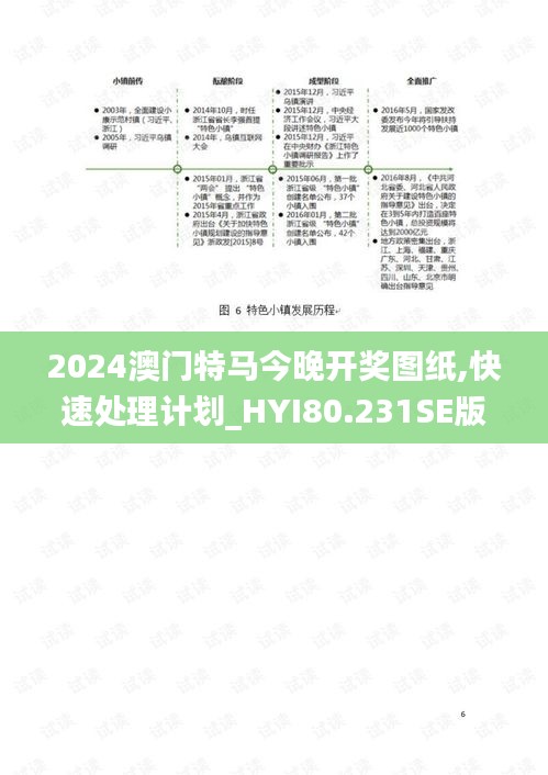 2024澳门特马今晚开奖图纸,快速处理计划_HYI80.231SE版