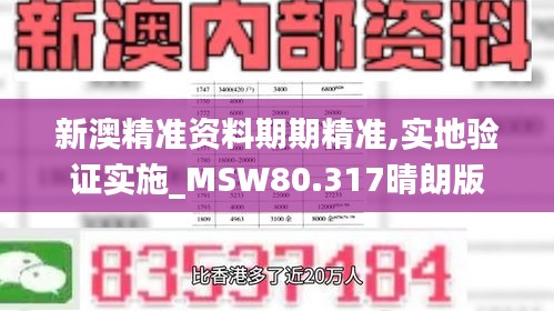 新澳精准资料期期精准,实地验证实施_MSW80.317晴朗版