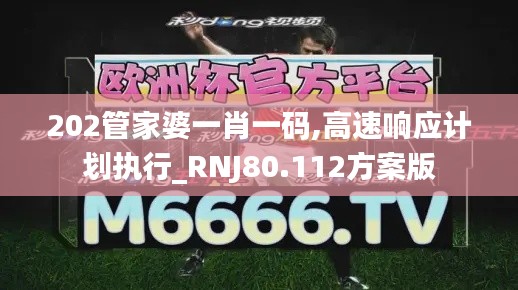 202管家婆一肖一码,高速响应计划执行_RNJ80.112方案版