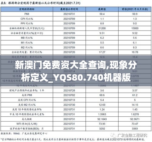 新澳门免费资大全查询,现象分析定义_YQS80.740机器版