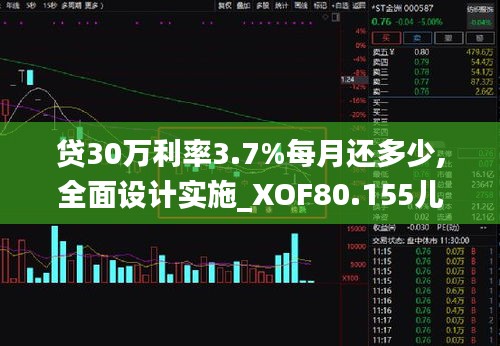 贷30万利率3.7%每月还多少,全面设计实施_XOF80.155儿童版