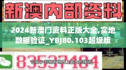 2024新澳门资料正版大全,实地数据验证_YBJ80.103超级版