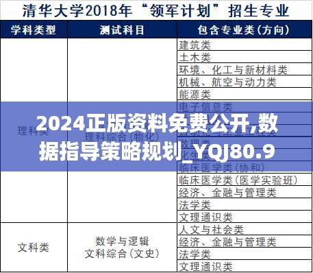 2024正版资料免费公开,数据指导策略规划_YQJ80.999万能版