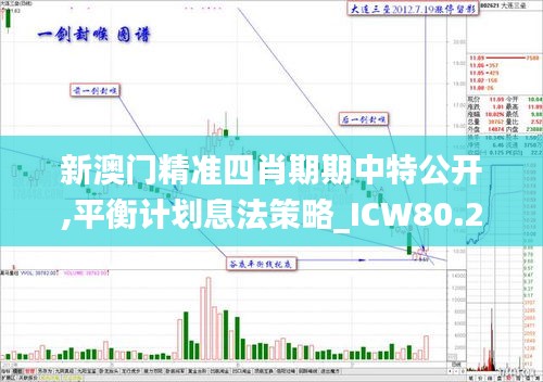 新澳门精准四肖期期中特公开,平衡计划息法策略_ICW80.271家庭版