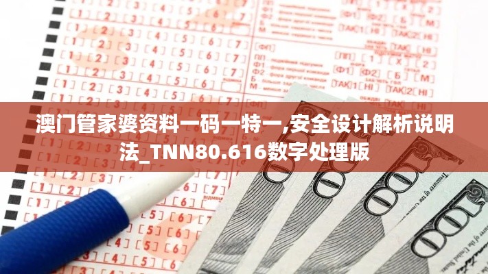 澳门管家婆资料一码一特一,安全设计解析说明法_TNN80.616数字处理版