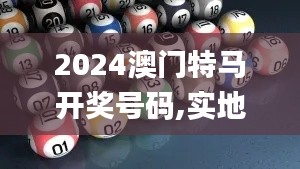 2024澳门特马开奖号码,实地数据验证_SRE80.534艺术版