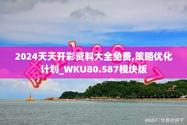 2024天天开彩资料大全免费,策略优化计划_WKU80.587模块版