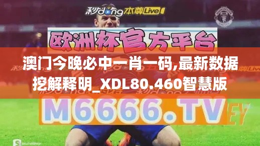 澳门今晚必中一肖一码,最新数据挖解释明_XDL80.460智慧版