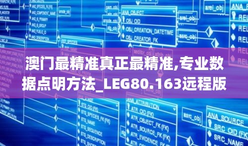 澳门最精准真正最精准,专业数据点明方法_LEG80.163远程版