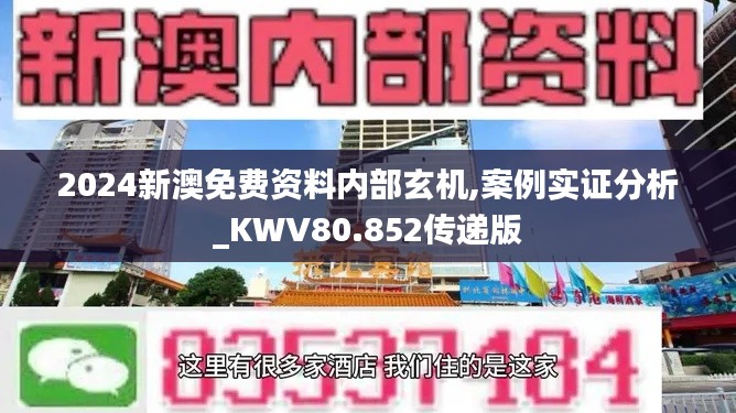 2024新澳免费资料内部玄机,案例实证分析_KWV80.852传递版