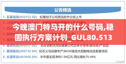 今晚澳门特马开的什么号码,稳固执行方案计划_GUL80.513套件版