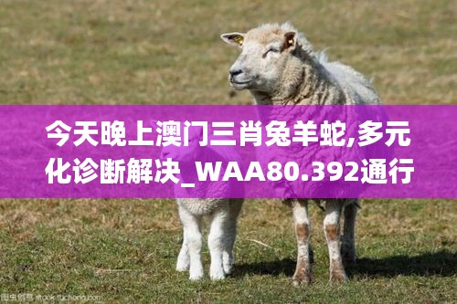 今天晚上澳门三肖兔羊蛇,多元化诊断解决_WAA80.392通行证版