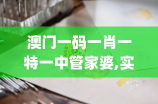 澳门一码一肖一特一中管家婆,实践调查说明_PML80.889动态版