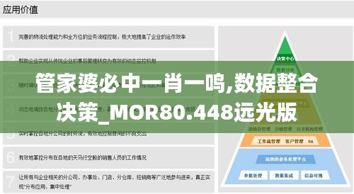 管家婆必中一肖一鸣,数据整合决策_MOR80.448远光版