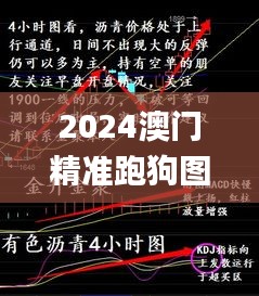 2024澳门精准跑狗图,精细化方案决策_ZIK80.398专属版