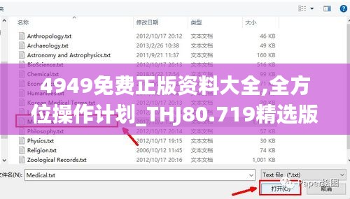 4949免费正版资料大全,全方位操作计划_THJ80.719精选版