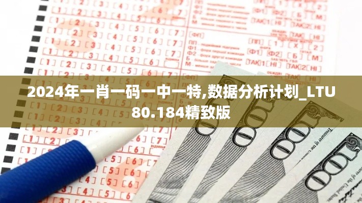 2024年一肖一码一中一特,数据分析计划_LTU80.184精致版