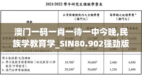 澳门一码一肖一待一中今晚,民族学教育学_SIN80.902强劲版