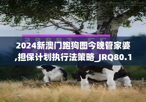 2024新澳门跑狗图今晚管家婆,担保计划执行法策略_JRQ80.182跨界版