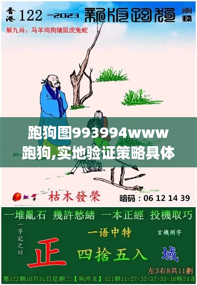 跑狗图993994www跑狗,实地验证策略具体_ZDM80.286专属版