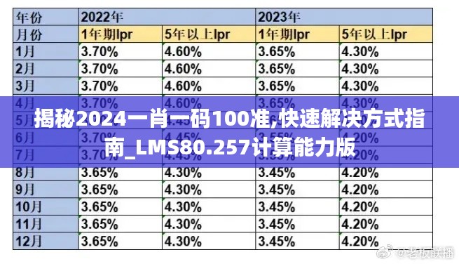 揭秘2024一肖一码100准,快速解决方式指南_LMS80.257计算能力版