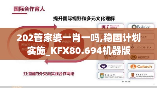 202管家婆一肖一吗,稳固计划实施_KFX80.694机器版