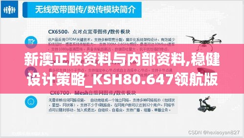 新澳正版资料与内部资料,稳健设计策略_KSH80.647领航版