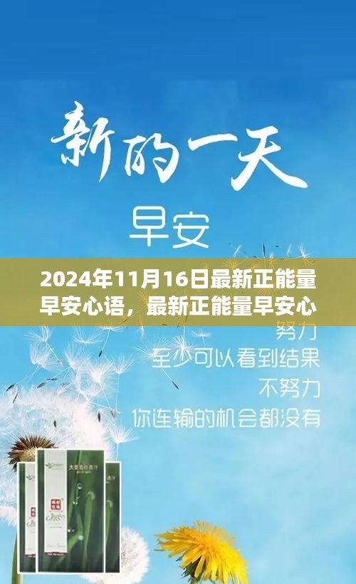 启程新一天，早安心语的正能量之光，迎接2024年11月16日的希望起点