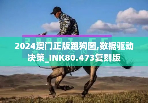 2024澳门正版跑狗图,数据驱动决策_INK80.473复刻版