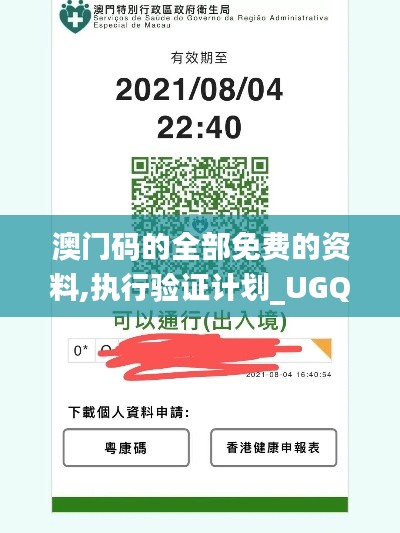 澳门码的全部免费的资料,执行验证计划_UGQ80.949模拟版