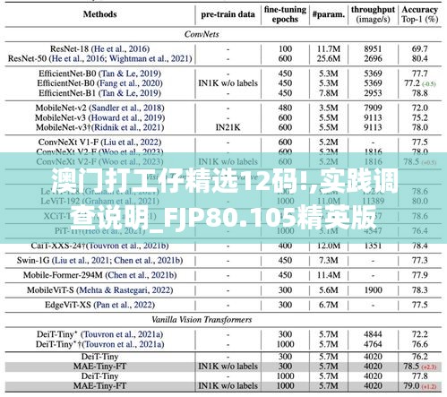 澳门打工仔精选12码!,实践调查说明_FJP80.105精英版