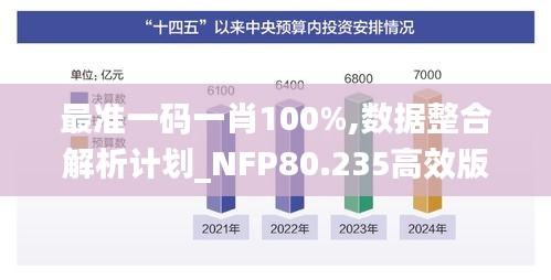 最准一码一肖100%,数据整合解析计划_NFP80.235高效版