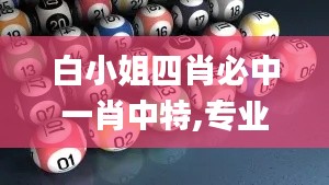 白小姐四肖必中一肖中特,专业解读操行解决_GCP80.463数字版