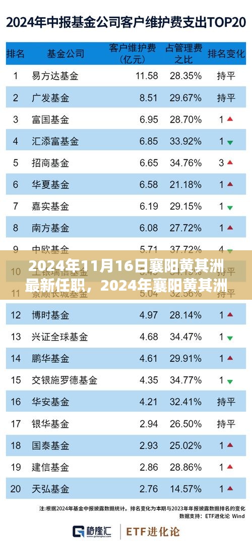 2024年襄阳黄其洲最新任职信息解读指南，初学者与进阶用户适用