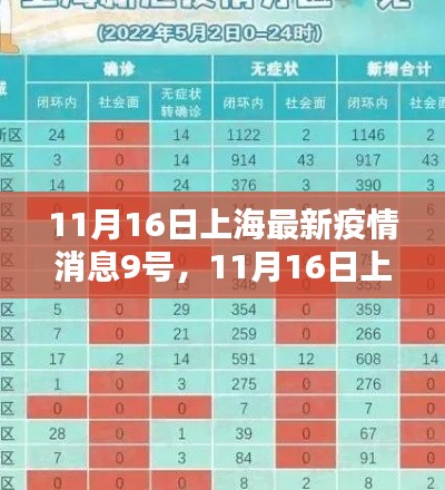 上海最新疫情消息深度分析与实时更新报告（截至11月16日）