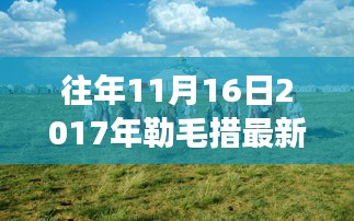 探秘勒毛措藏歌特色小店，2017年最新藏歌盛宴，藏歌天堂的深巷传奇